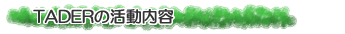 TADER�̊������e